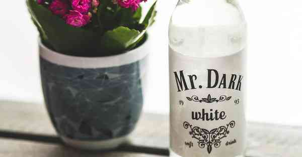 艾克智能清洁机器人 艾克智能清洁机器人怎么样