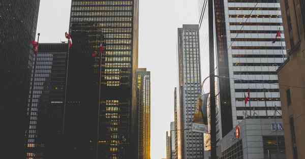 大禹智能机器人，大禹智能机器人怎么样