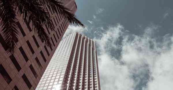 机器人发展方向智能化