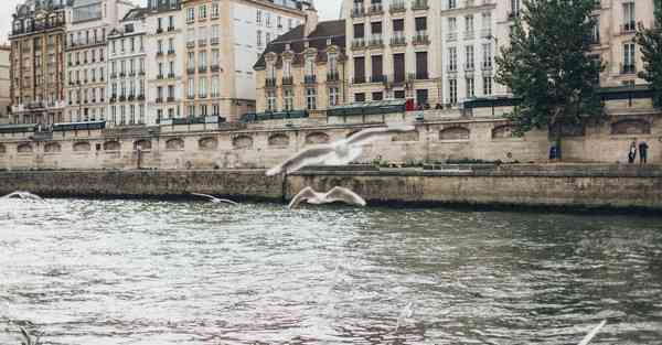 电力巡检智能化机器人