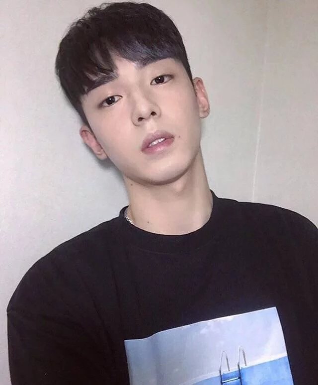 蔡固清星