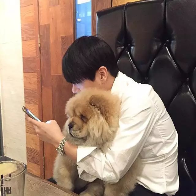 容晨可维