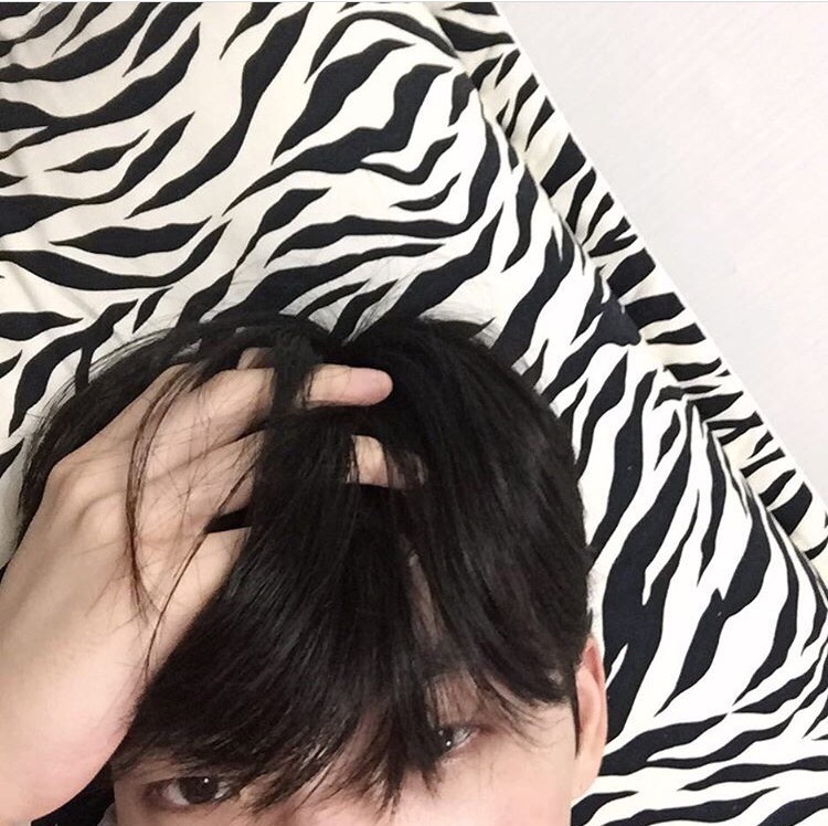 柯凝雯承
