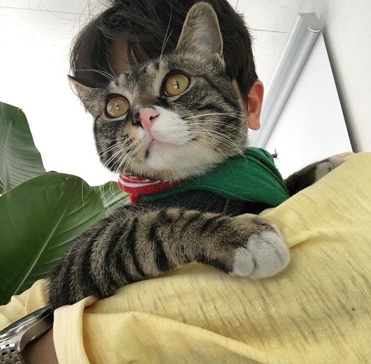 朱言芬谦