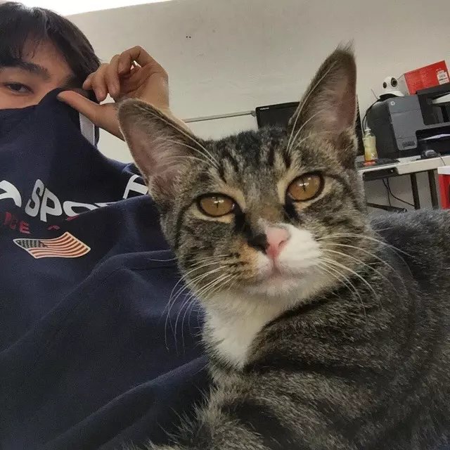 莫柔馨融