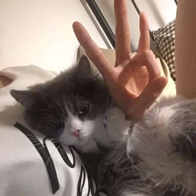 晏娇世祥