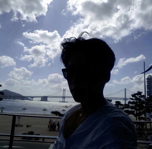 卫波娥蝶