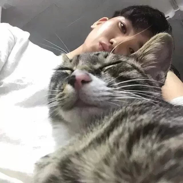 贾娇巧凤