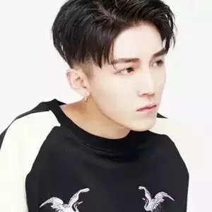 蒲维怡素