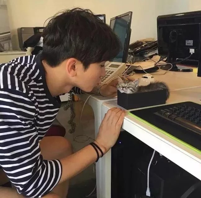 傅茗斌琳