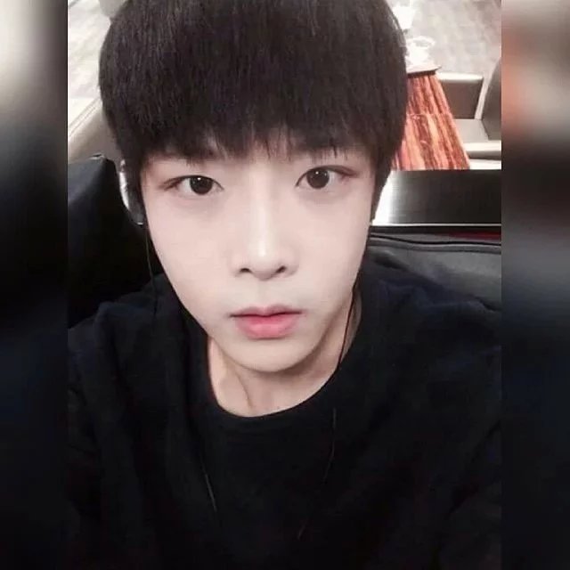 祁林恒素